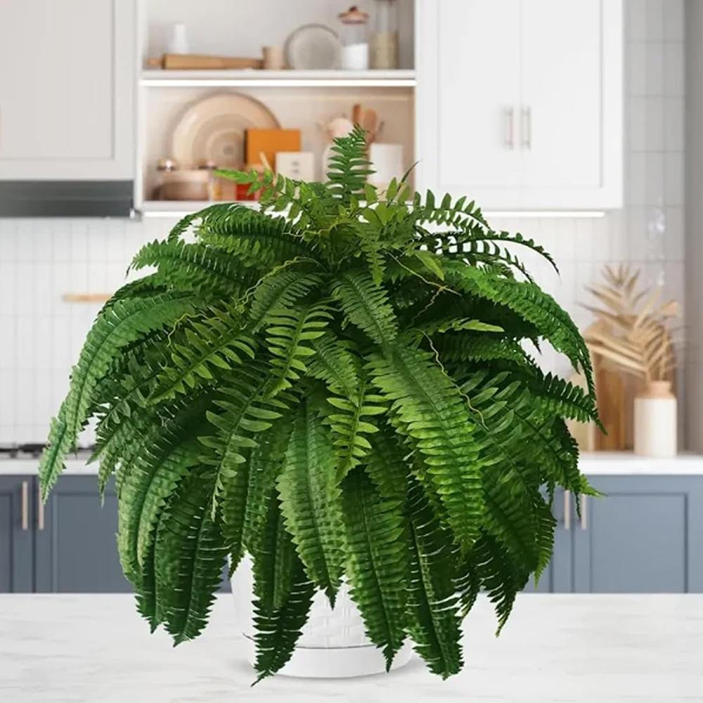 Outdoor Artificial Fern Ornament Decor Personalized Door Front Decor For Porch Window
Outdoor Artificial Fern Ornament Decor Personalized Door Front Decor For Porch Window