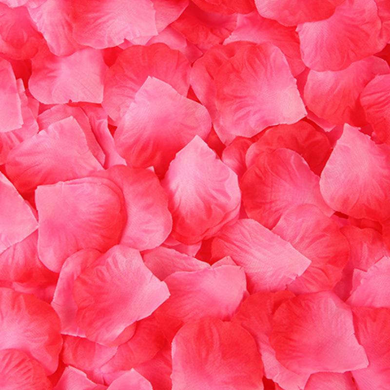1000 Silk Cloth Artificial Rose Petals for Wedding Decorations and Celebrations
1000 Silk Cloth Artificial Rose Petals for Wedding Decorations and Celebrations