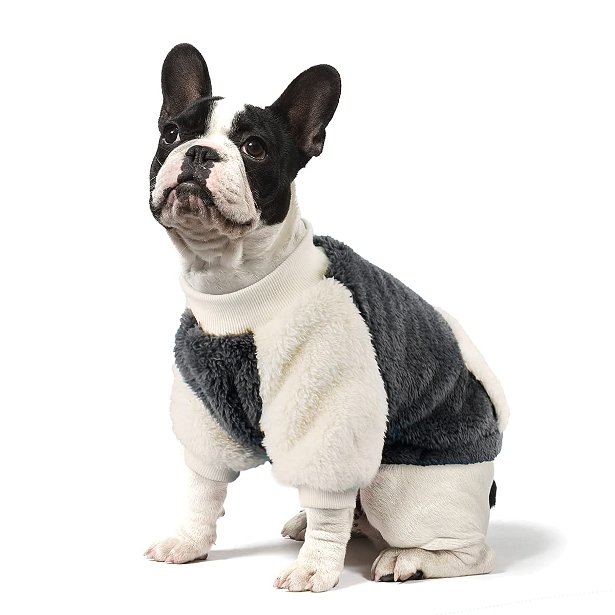 Small dog fluffy dog small dog warm small dog pullover for small gray L sweater, sweater, clothes, coat, dogs,
Small dog fluffy dog small dog warm small dog pullover for small gray L sweater, sweater, clothes, coat, dogs,