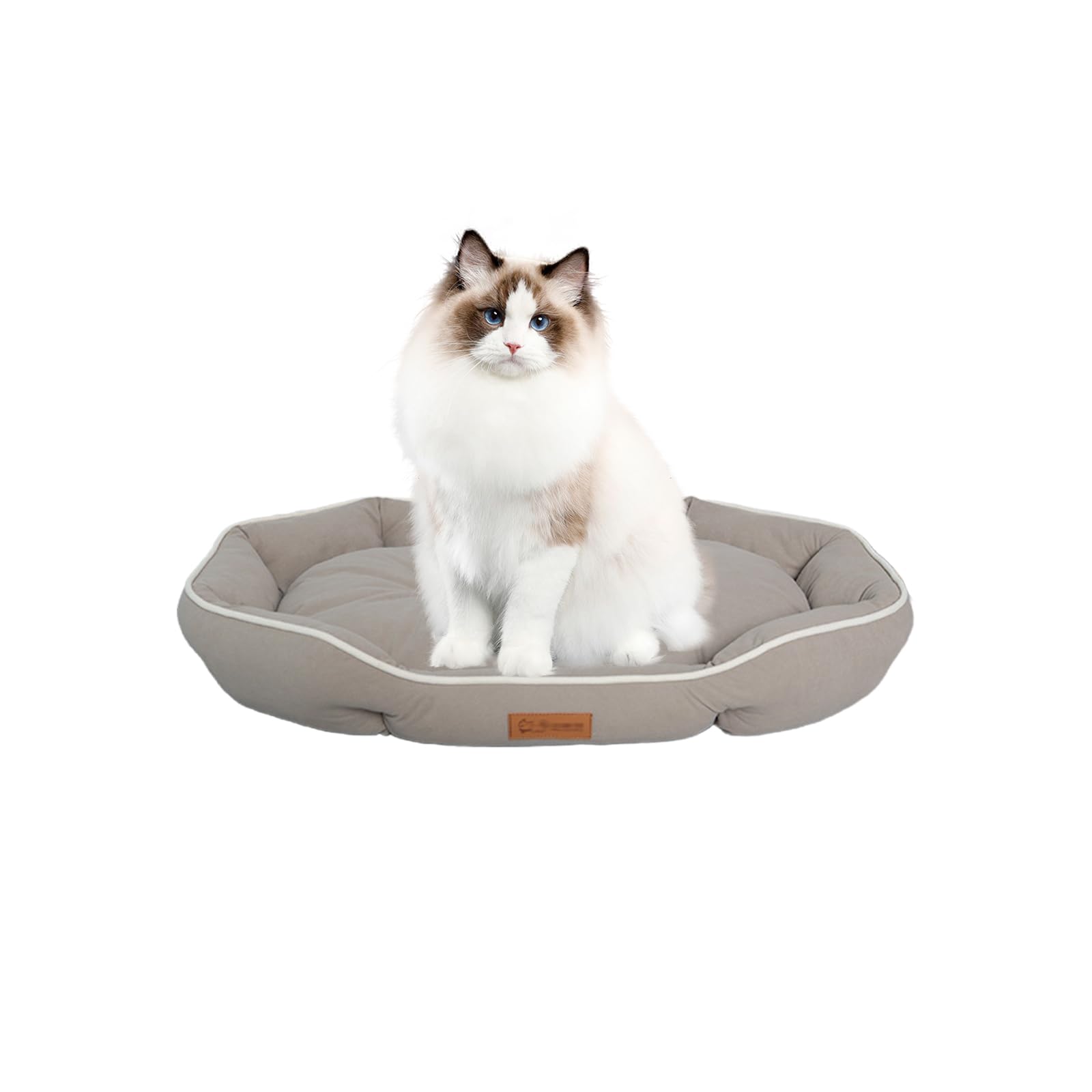 Alien Pet Cat Dog Bed Pet Bed Cushion Soft Fluffy Pet Sofa Easy to Clean Mat for Small and Medium Dogs Washable Cold Protection All Seasons Anti-Slip хакі
Alien Pet Cat Dog Bed Pet Bed Cushion Soft Fluffy Pet Sofa Easy to Clean Mat for Small and Medium Dogs Washable Cold Protection All Seasons Anti-Slip хакі