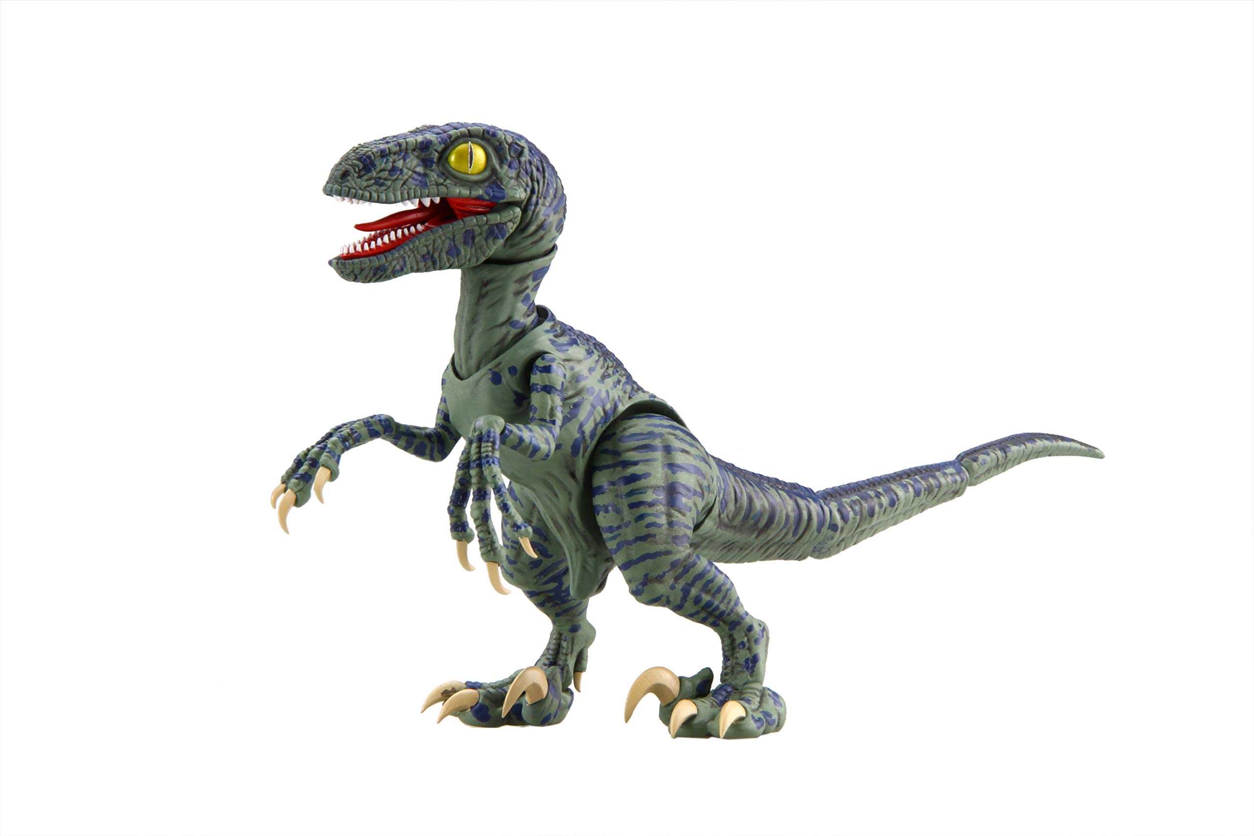 Fujimi Model Free Research Series Kyoryu Edition Velociraptor Color Coded Plastic Model Free Research 3 No.3 Non-Scale
Fujimi Model Free Research Series Kyoryu Edition Velociraptor Color Coded Plastic Model Free Research 3 No.3 Non-Scale