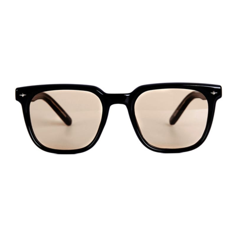hybition Delta Black / Sepia Tint Lens one
hybition Delta Black / Sepia Tint Lens one