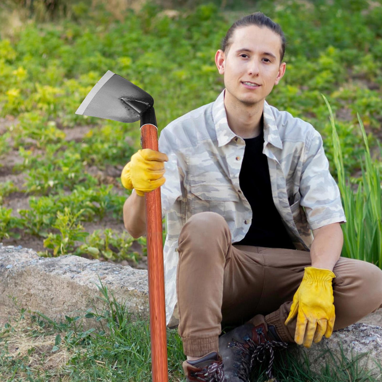 Hoe Garden Tool Manganese Steel Gardening Hoe Head for Planting Heavy Duty Hand Tools Manganese Steel Cultivator Replacement China Mainland
Hoe Garden Tool Manganese Steel Gardening Hoe Head for Planting Heavy Duty Hand Tools Manganese Steel Cultivator Replacement China Mainland