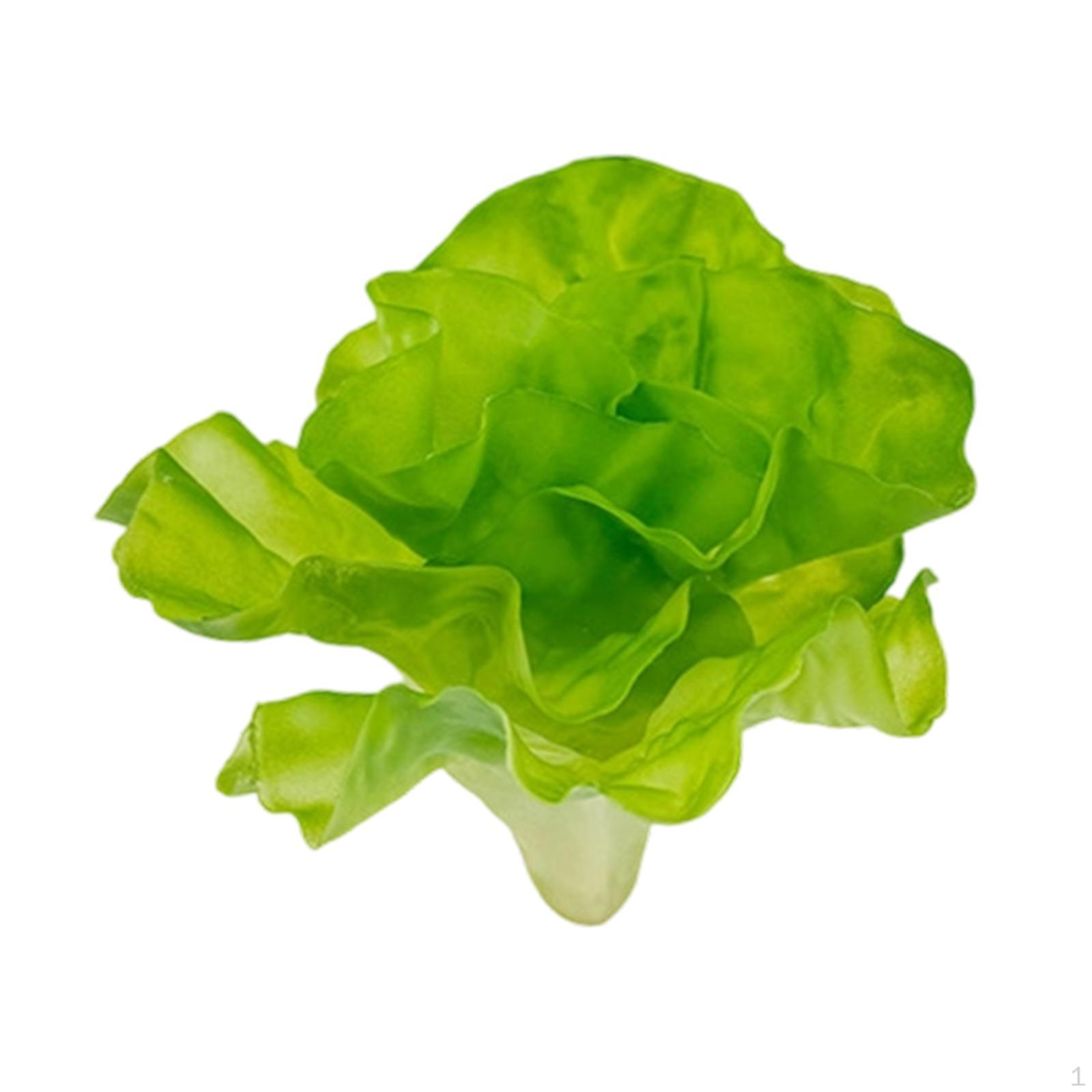 Искусственный Овощ Поддельный Овощ Модель Домашний Декор Украшение Симуляция Искусственный для Small lettuce17x26cm
Искусственный Овощ Поддельный Овощ Модель Домашний Декор Украшение Симуляция Искусственный для Small lettuce17x26cm