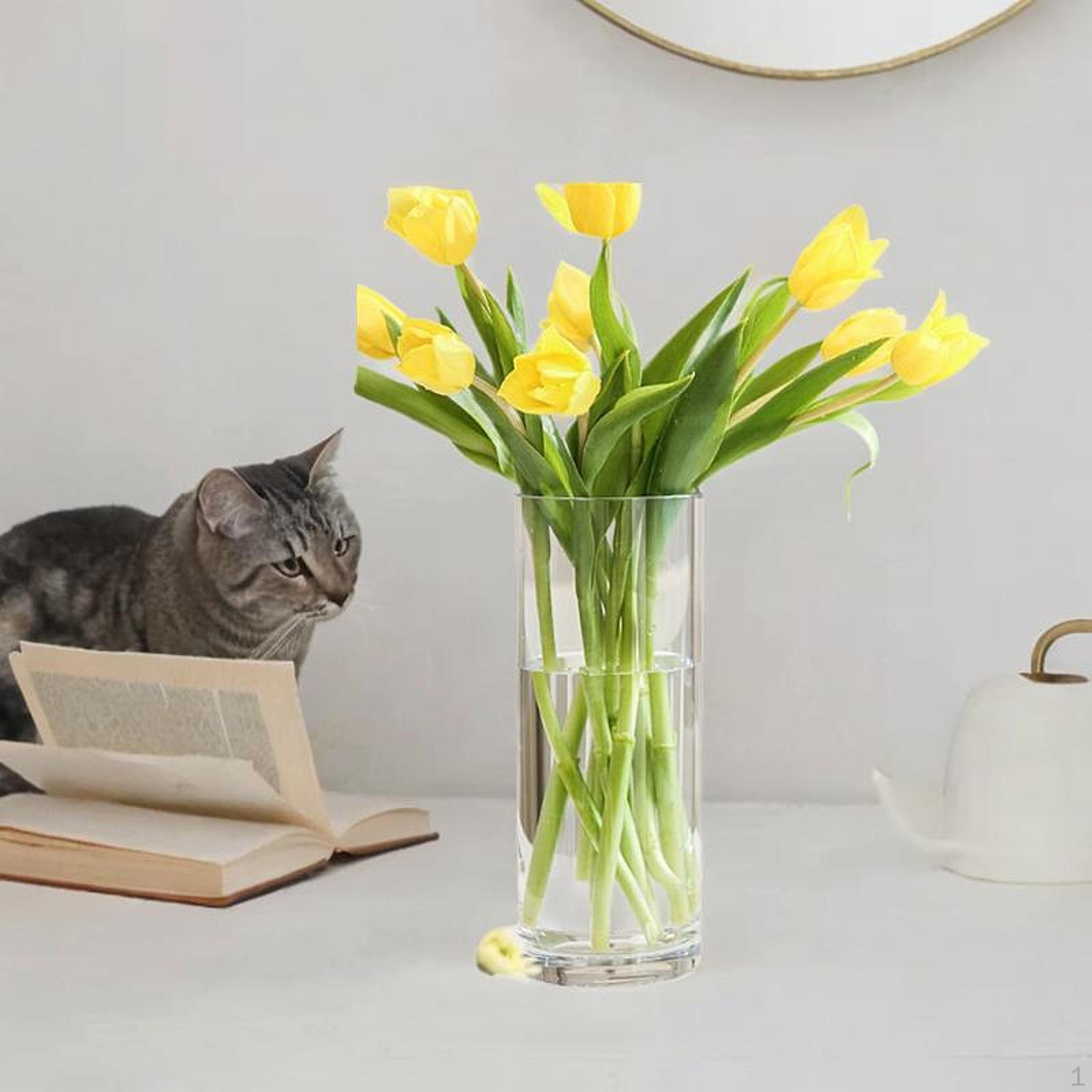 Acrylic Cylinder Flower Vase Stem Bunch Decorative Storage Clear Minimalist for Desk Wedding
Acrylic Cylinder Flower Vase Stem Bunch Decorative Storage Clear Minimalist for Desk Wedding