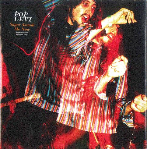 7inch Record POP LEVI Sugar Assault Me Now COUNT002 COUNTER 2007 UK Rock Used
7inch Record POP LEVI Sugar Assault Me Now COUNT002 COUNTER 2007 UK Rock Used