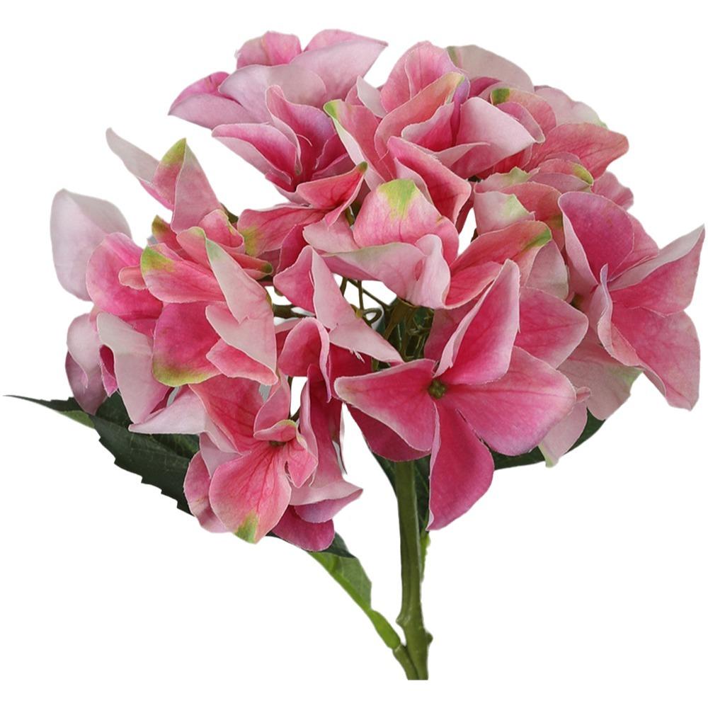 36cm Artificial Hydrangea Flower Bridal Bouquets Flower Bouquet Fashion Fake Flower Gift темно-рожевого кольору
36cm Artificial Hydrangea Flower Bridal Bouquets Flower Bouquet Fashion Fake Flower Gift темно-рожевого кольору