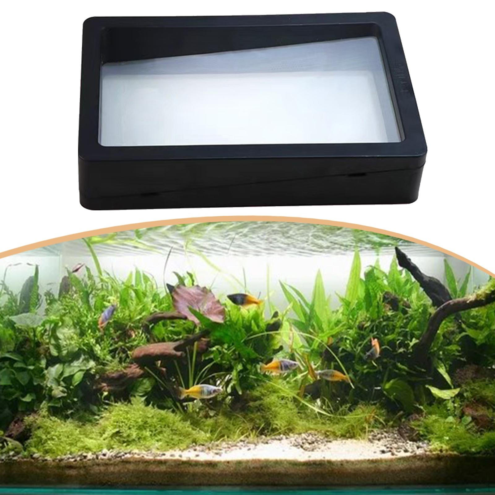 Pad for Aquarium, High-density Protector, Filtration Mesh Sumps And Ponds. 19.5x12.5x4cm
Pad for Aquarium, High-density Protector, Filtration Mesh Sumps And Ponds. 19.5x12.5x4cm