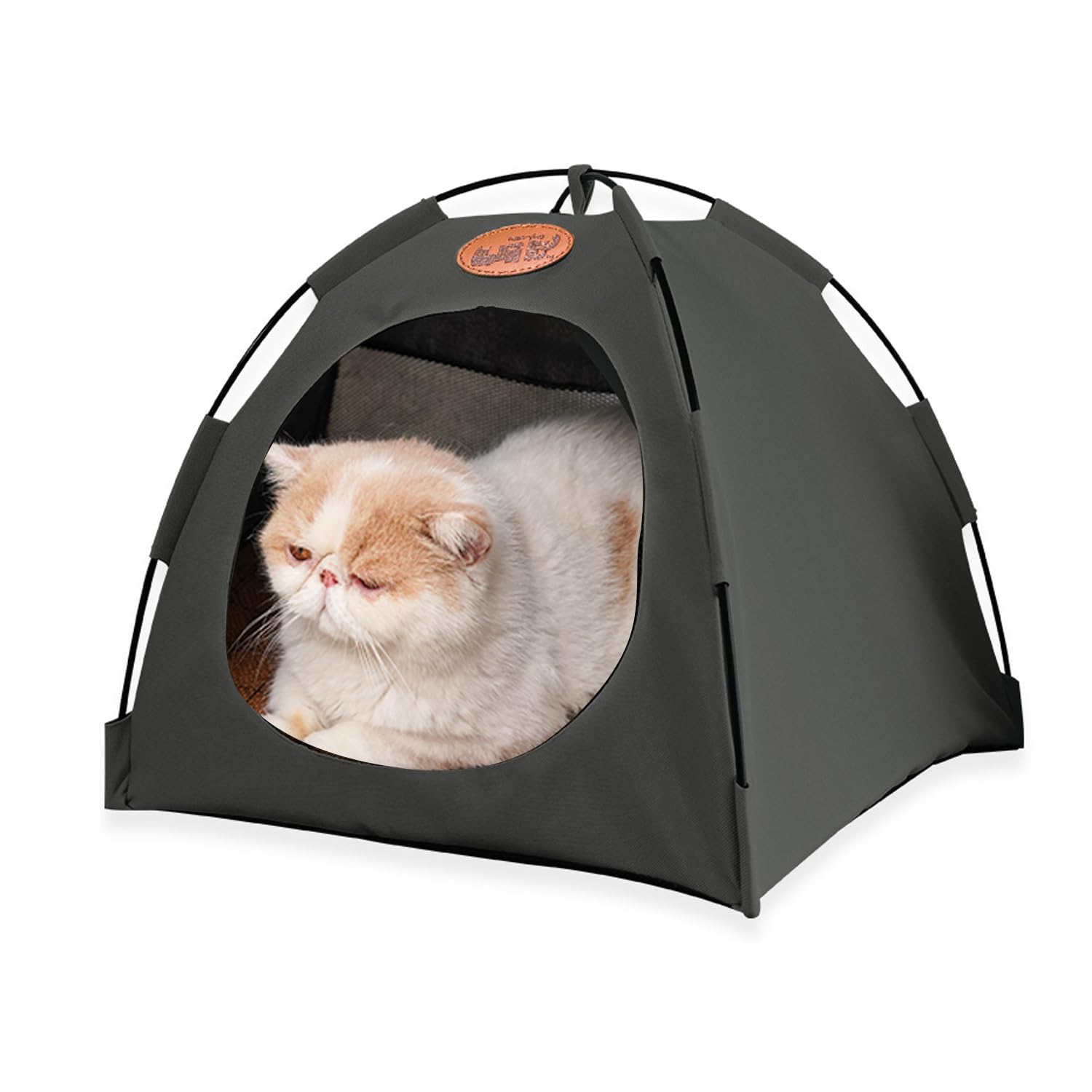 Cat cat cat indoor cats will love this cushion bite for cats and breathable for cats and dogs tent, bed, house, tent, bed, dog, included, resistant,
Cat cat cat indoor cats will love this cushion bite for cats and breathable for cats and dogs tent, bed, house, tent, bed, dog, included, resistant,