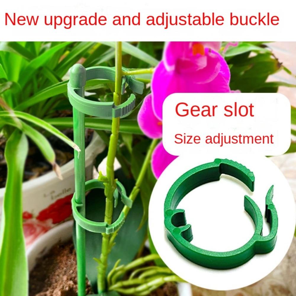 10pcs Fixed Plant Support Rod Plant Support Rose Gardening Flower Support New Flower Hand 10pcs 30cm Bracket & Clip
10pcs Fixed Plant Support Rod Plant Support Rose Gardening Flower Support New Flower Hand 10pcs 30cm Bracket & Clip