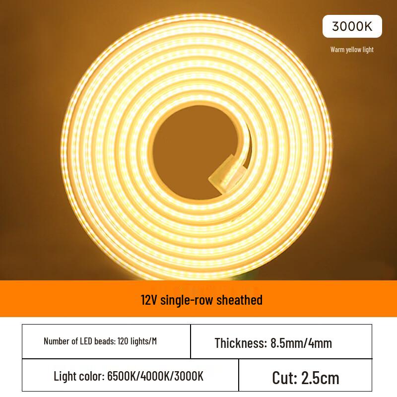 Outdoor 12V LED Strip Light
Outdoor 12V LED Strip Light
