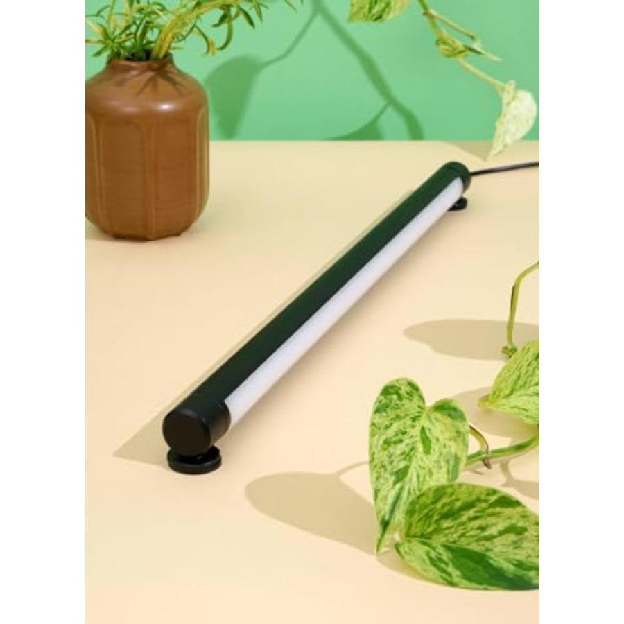 Grove LED Grow Light - Under-Cabinet/Shelving or Wall Mounted LED Bar Light for Indoor Houseplants and Herbs - Touch Control Po чорний
Grove LED Grow Light - Under-Cabinet/Shelving or Wall Mounted LED Bar Light for Indoor Houseplants and Herbs - Touch Control Po чорний