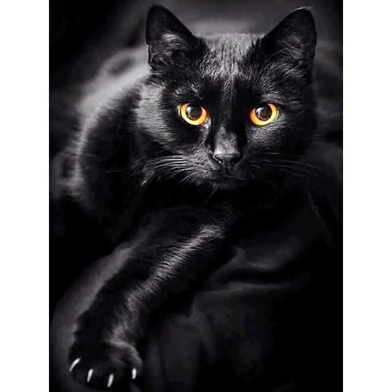 5D DIY Алмазная картина Полный квадратный/круглый дрель Темный кот Алмазная вышивка Наборы для вышивки крестом Домашний декор Подарок Round 30x40cm чёрный
5D DIY Алмазная картина Полный квадратный/круглый дрель Темный кот Алмазная вышивка Наборы для вышивки крестом Домашний декор Подарок Round 30x40cm чёрный
