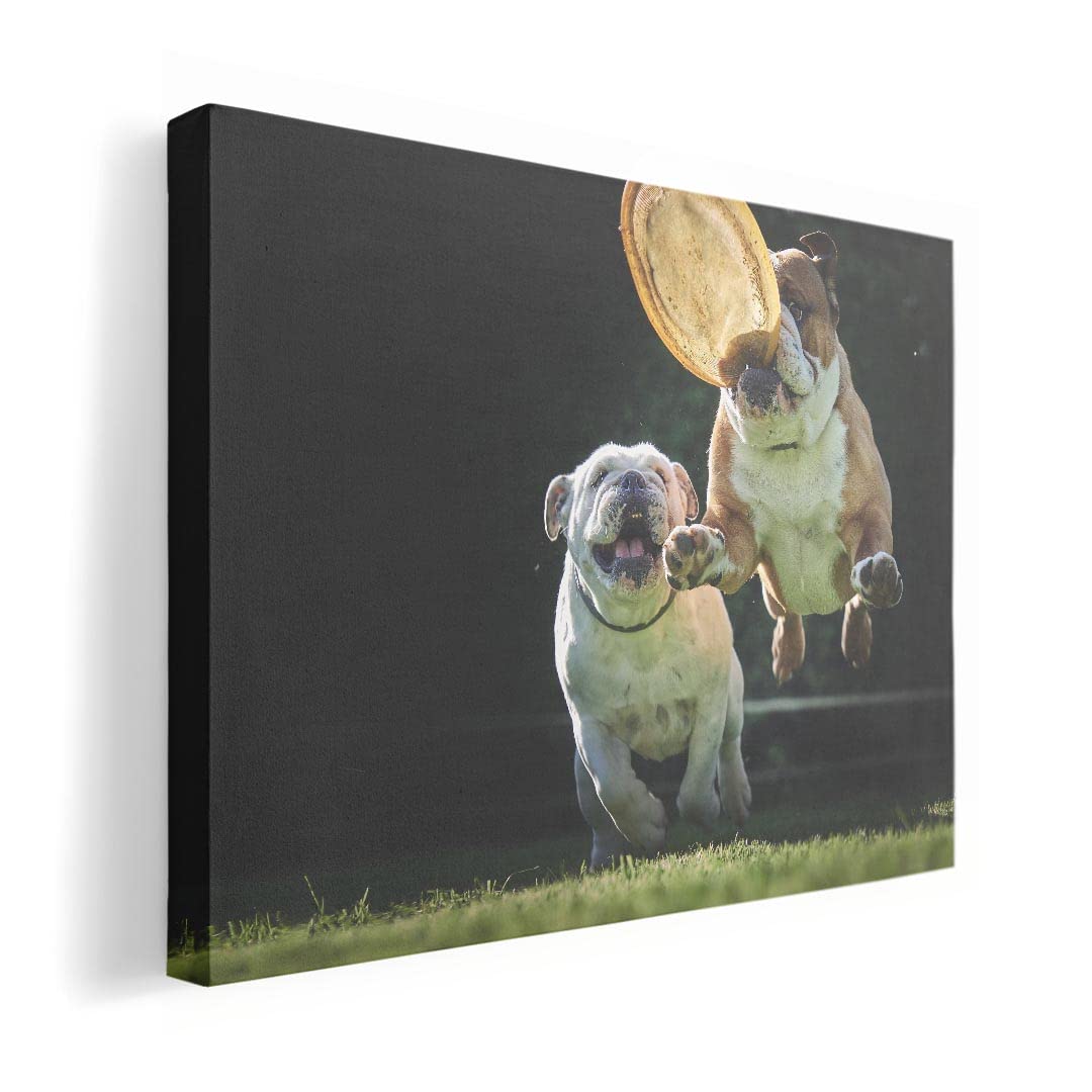 Art 420mm x Wall Wooden Stylish Interior Animal Photo Panel, Painting, Decoration, igsticker, 297mm, A3, Photo, Hanging, Frame, Decor, 023041, Dog,
Art 420mm x Wall Wooden Stylish Interior Animal Photo Panel, Painting, Decoration, igsticker, 297mm, A3, Photo, Hanging, Frame, Decor, 023041, Dog,