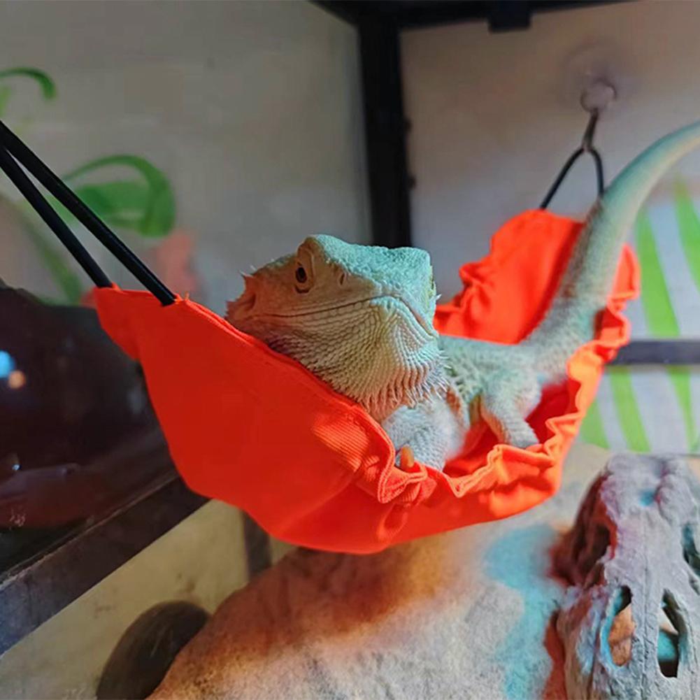 Reptile Hanging Bed with Suction Cups Breathable Mesh Hammock for Lizard Gecko Snake Hamster Terrarium Climbing Resting Spot for Vivarium Cage M помаранчевий
Reptile Hanging Bed with Suction Cups Breathable Mesh Hammock for Lizard Gecko Snake Hamster Terrarium Climbing Resting Spot for Vivarium Cage M помаранчевий