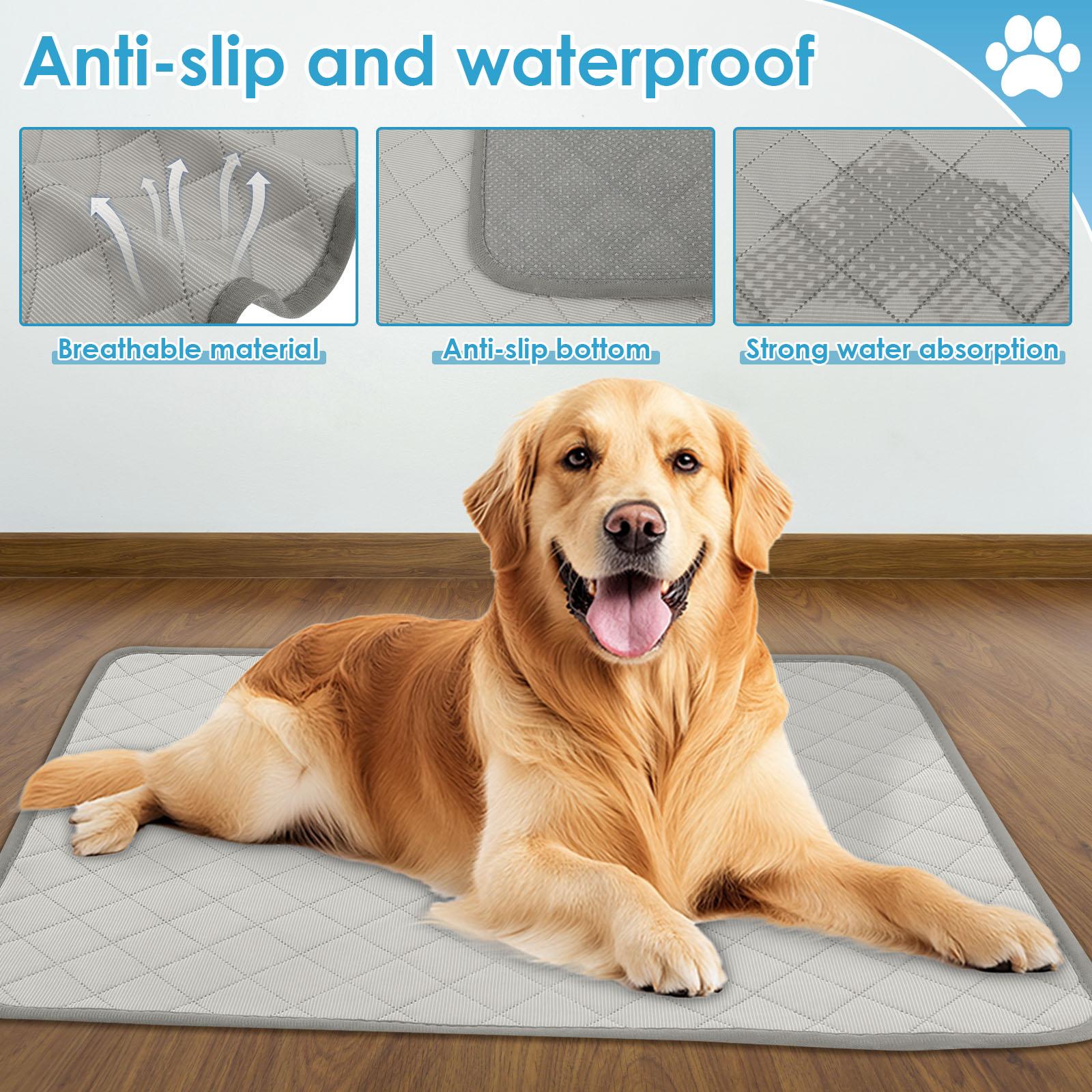 2Pcs Dog Pee Pad Water Absorbent Reusable Pet Training Pad Washable Puppy Bed Floor Mat Diaper Mat Four Seasons Pet Supplies
2Pcs Dog Pee Pad Water Absorbent Reusable Pet Training Pad Washable Puppy Bed Floor Mat Diaper Mat Four Seasons Pet Supplies