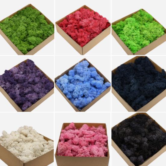 1 коробка вечная жизнь сушеный мох мини пейзажный декор DIY цветок ремесло аксессуар
1 коробка вечная жизнь сушеный мох мини пейзажный декор DIY цветок ремесло аксессуар