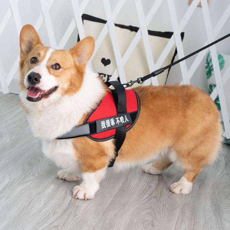Dog Chest Strap Medium and Large Pet Leash Dog Vest Dog Chain Explosion Proof Chest Back XS
Dog Chest Strap Medium and Large Pet Leash Dog Vest Dog Chain Explosion Proof Chest Back XS