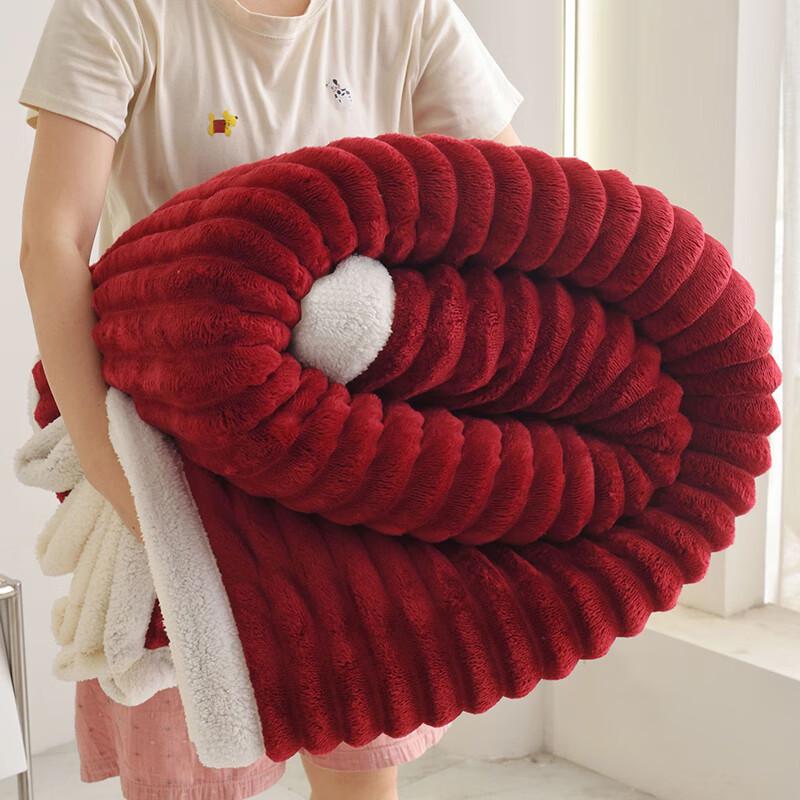 LISM Coral Fleece Blanket
LISM Coral Fleece Blanket