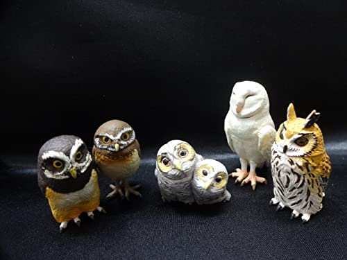 Capsule Q Museum Good Luck Owl Encyclopedia 2 All 5 Types Comp Set Kaiyodo Owl Миниатюрная фигурка совы Товары
Capsule Q Museum Good Luck Owl Encyclopedia 2 All 5 Types Comp Set Kaiyodo Owl Миниатюрная фигурка совы Товары