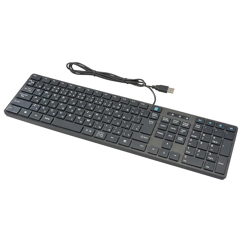 Ohm (OHM) Electric PCGEAR keyboard computer USB connection wired USB keyboard black PC-SKC41 K 01-3514
Ohm (OHM) Electric PCGEAR keyboard computer USB connection wired USB keyboard black PC-SKC41 K 01-3514