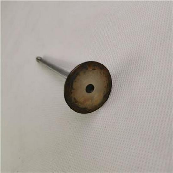 Intake Valve for Foton SPM40004172E9300 Foton
Intake Valve for Foton SPM40004172E9300 Foton