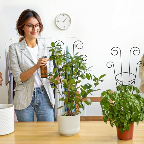 Outdoor Plant Trellis Metal Climbing Plant Stakes Houseplants Support Trellis Planter Insert Frame Trellis for Potted Ivy Roses Orchids чорний
Outdoor Plant Trellis Metal Climbing Plant Stakes Houseplants Support Trellis Planter Insert Frame Trellis for Potted Ivy Roses Orchids чорний