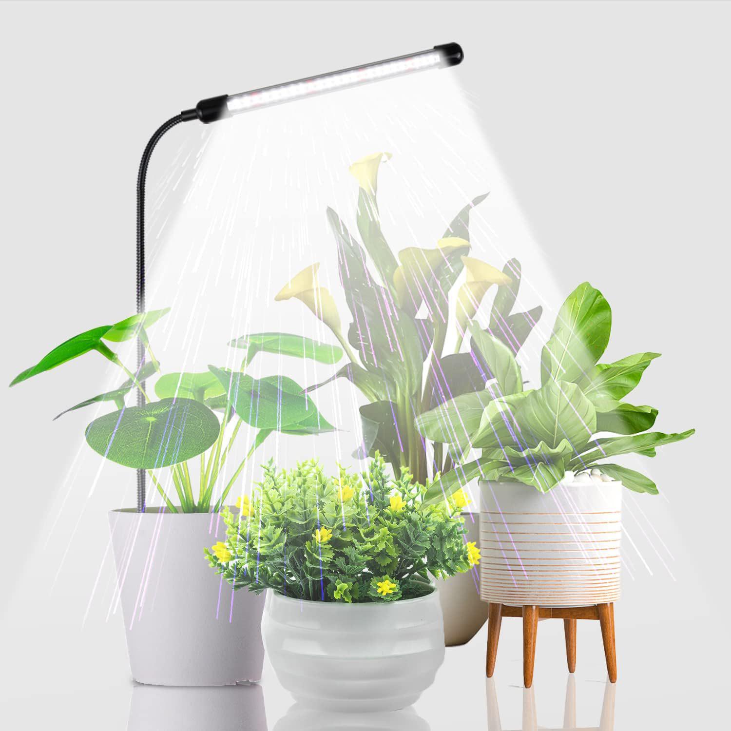 Ground-Mounted LED Grow Light for Succulents and Bonsai - Full Spectrum Supplementary Lighting Red-white
Ground-Mounted LED Grow Light for Succulents and Bonsai - Full Spectrum Supplementary Lighting Red-white