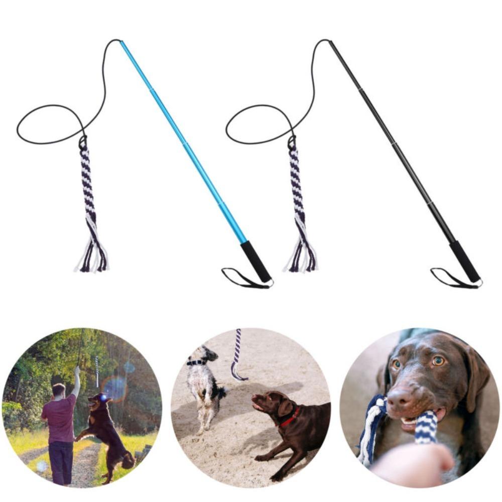 Stick Dog Retractable Dog Teasing Stick Pet Training Stick Aluminium Alloy Dog Chasing Tail Teaser
Stick Dog Retractable Dog Teasing Stick Pet Training Stick Aluminium Alloy Dog Chasing Tail Teaser