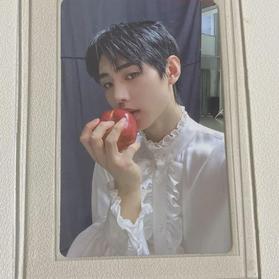 ENHYPEN Граница: Фотокарточка Сонхуна за первый день
ENHYPEN Граница: Фотокарточка Сонхуна за первый день