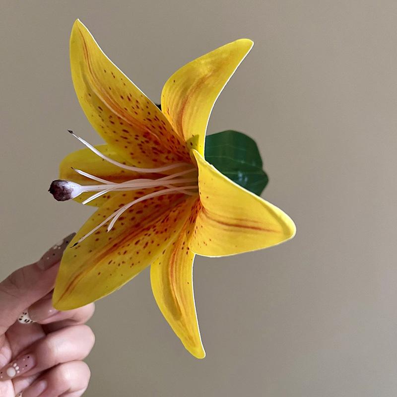 Красочный Имитация Лилии Цветок Аксессуар для Волос Богемный Стиль Заколка для Волос Элегантная и Нежная Заколка-Акула для Волос Инструмент для Укладки Волос
Красочный Имитация Лилии Цветок Аксессуар для Волос Богемный Стиль Заколка для Волос Элегантная и Нежная Заколка-Акула для Волос Инструмент для Укладки Волос