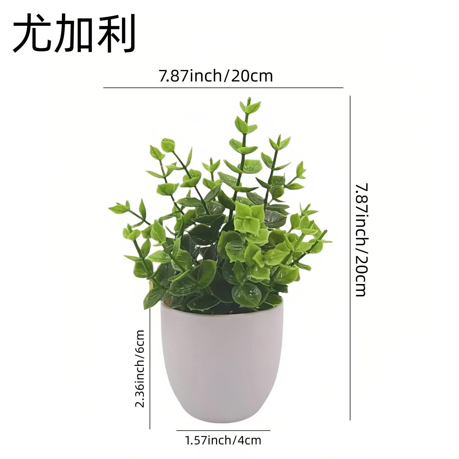 Artificial Eucalyptus and White Round Leaf Plant Decorative Arrangement for Indoor Outdoor Use Realistic Texture and Natural Shape One Size
Artificial Eucalyptus and White Round Leaf Plant Decorative Arrangement for Indoor Outdoor Use Realistic Texture and Natural Shape One Size