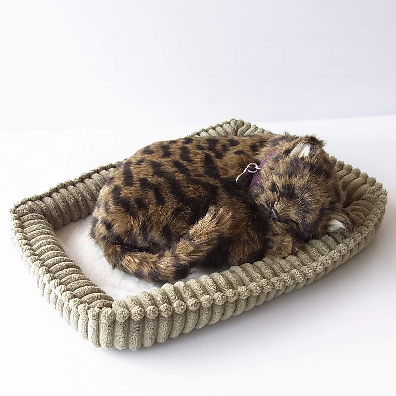 Nini and Kino Perfect Pet Kijitora Cat Plush Toy Cat Realistic Looks Like Miscellaneous Goods Animal Healing Moving Present Gift Celebration Cute Cat
Nini and Kino Perfect Pet Kijitora Cat Plush Toy Cat Realistic Looks Like Miscellaneous Goods Animal Healing Moving Present Gift Celebration Cute Cat