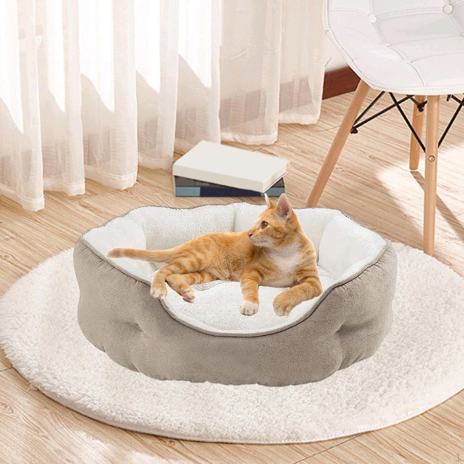 Котяче ліжко, гніздо, стійке до ковзання, миється, м’яке, спальне місце для домашніх котів, собак, собак Khaki S
Котяче ліжко, гніздо, стійке до ковзання, миється, м’яке, спальне місце для домашніх котів, собак, собак Khaki S