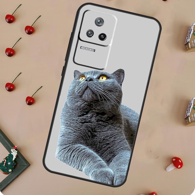 British Shorthair Cat Case For Xiaomi 13 14 13T Pro 12T 11T 12 Lite POCO M6 X6 Pro X3 X4 X5 F3 F4 M5s F5 Cover POCO F3
British Shorthair Cat Case For Xiaomi 13 14 13T Pro 12T 11T 12 Lite POCO M6 X6 Pro X3 X4 X5 F3 F4 M5s F5 Cover POCO F3