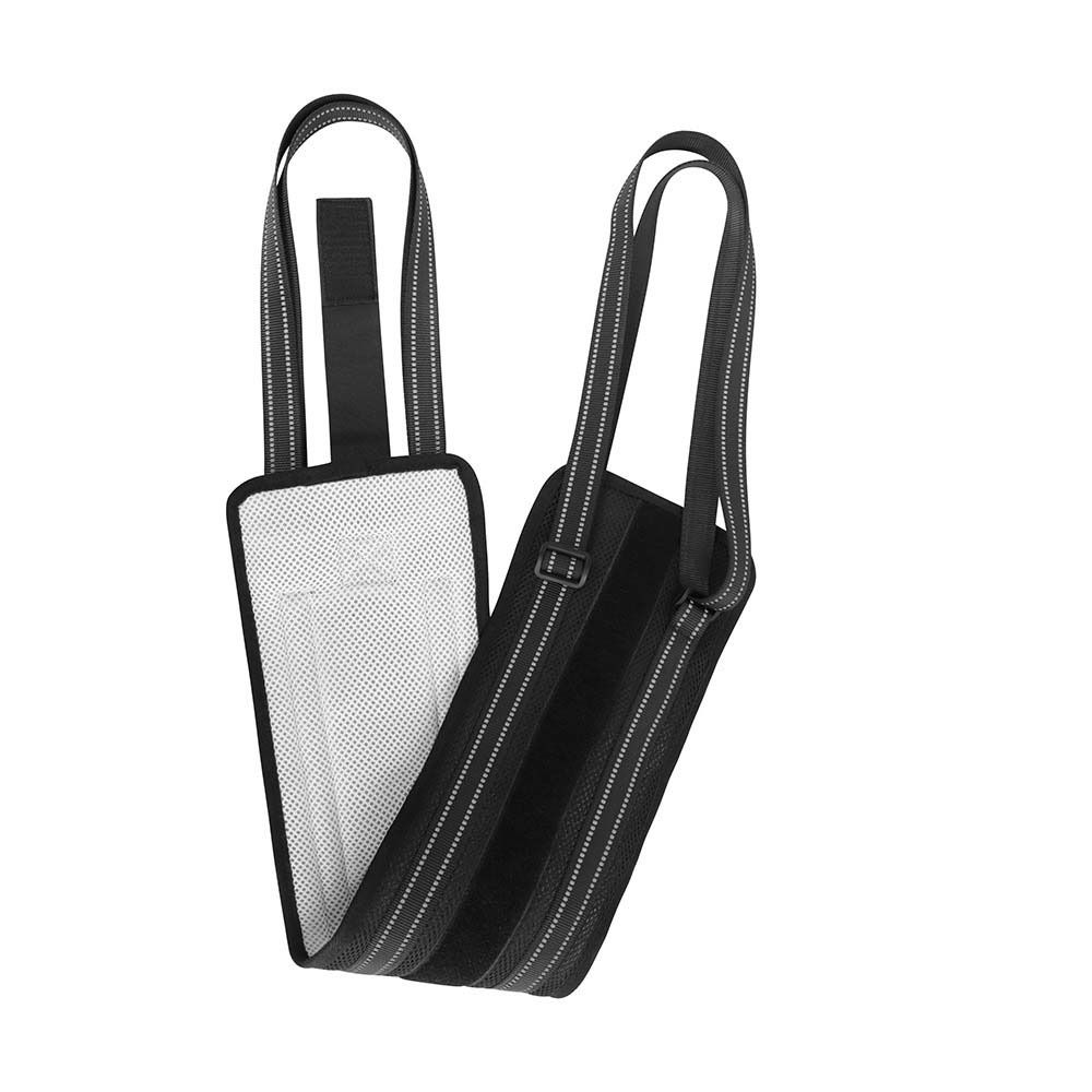 Lift Rear Disabilities Pet Auxiliary Belt Dog Lift Harness Dog Recovery Sling Dog Support Harness L
Lift Rear Disabilities Pet Auxiliary Belt Dog Lift Harness Dog Recovery Sling Dog Support Harness L