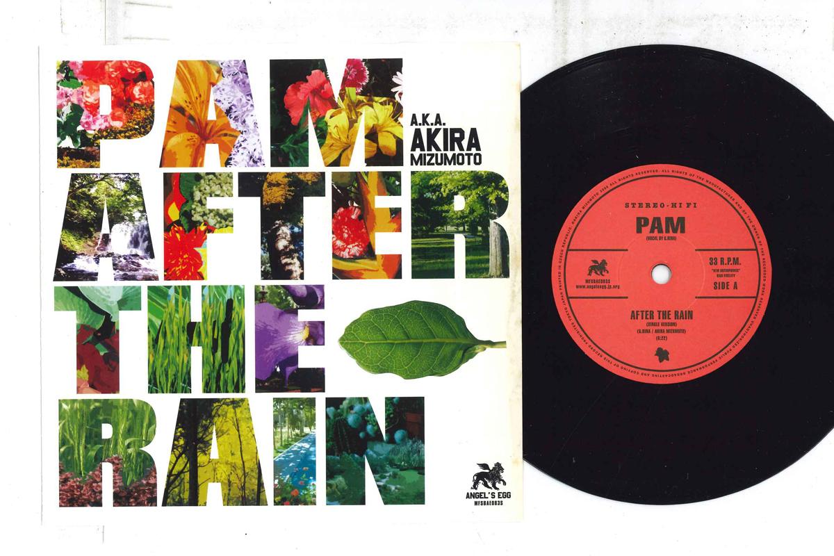 7inch Record PAM After The Rain Break Shot MFSBAE083S ANGELS EGG 2006 Japan Japanese Club Dance Used 
7inch Record PAM After The Rain Break Shot MFSBAE083S ANGELS EGG 2006 Japan Japanese Club Dance Used