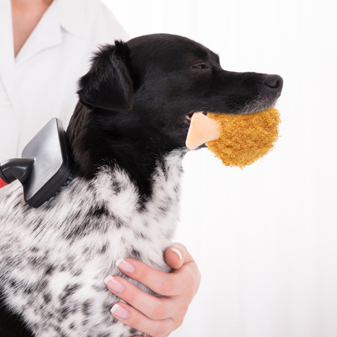 Angoily 2pcs Pet Plush Toys Puppy Squeaky Toy Plush Chicken Leg Dog Toy Dogs Teething Toys Drumstick Stuffed Dog Toy Puppy Interactive Toys Puppy
Angoily 2pcs Pet Plush Toys Puppy Squeaky Toy Plush Chicken Leg Dog Toy Dogs Teething Toys Drumstick Stuffed Dog Toy Puppy Interactive Toys Puppy