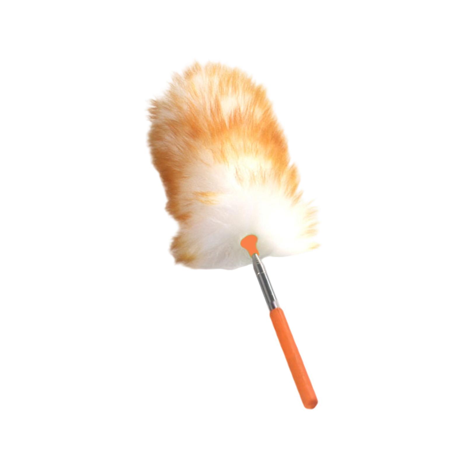 Выдвижная и чистящая пыль - это инструмент для уборки One Size
Выдвижная и чистящая пыль - это инструмент для уборки One Size