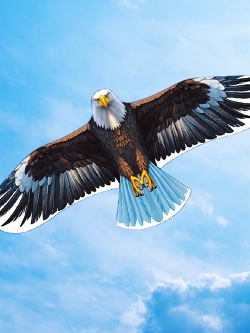 Воздушный змей «Белоголовый орлан» - Легко запускать для взрослых и детей
Воздушный змей «Белоголовый орлан» - Легко запускать для взрослых и детей