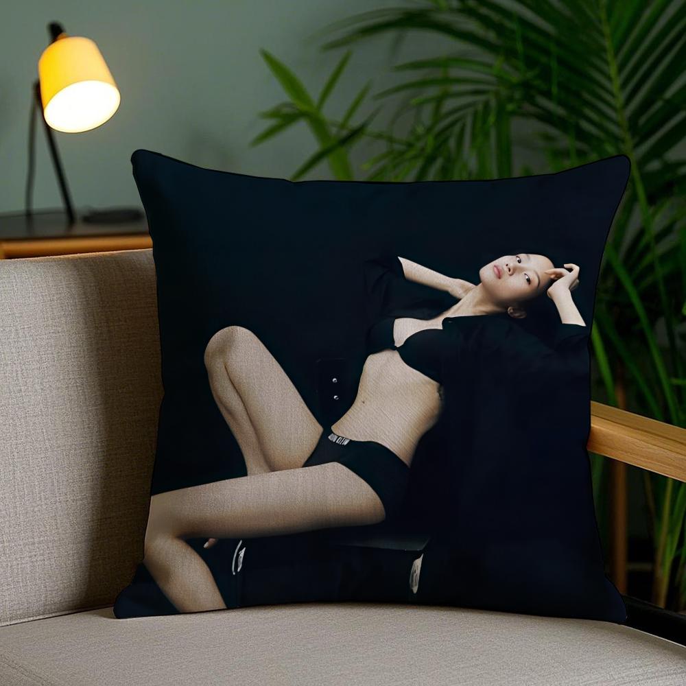 Moon GGaYYoung SINGER Pillow Case Silky Elegant Comfort Sofa Bed Invisible Zipper 30X30cm
Moon GGaYYoung SINGER Pillow Case Silky Elegant Comfort Sofa Bed Invisible Zipper 30X30cm