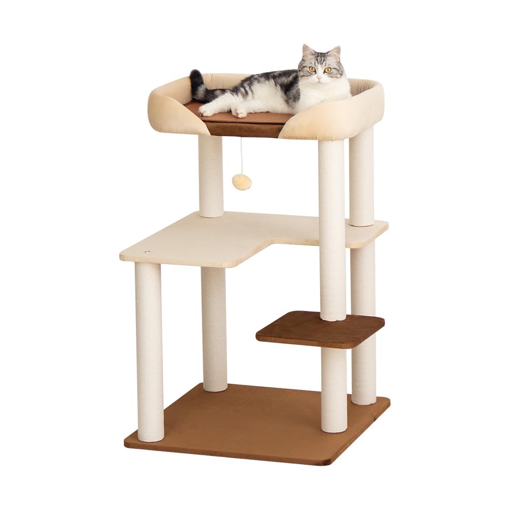 LULUCAT Cat Stylish by LULUCAT Cushioned Huge For Multiple For Senior For Winter and Summer Mat For Large Low Observation Cat Eliminates Lack of Space
LULUCAT Cat Stylish by LULUCAT Cushioned Huge For Multiple For Senior For Winter and Summer Mat For Large Low Observation Cat Eliminates Lack of Space