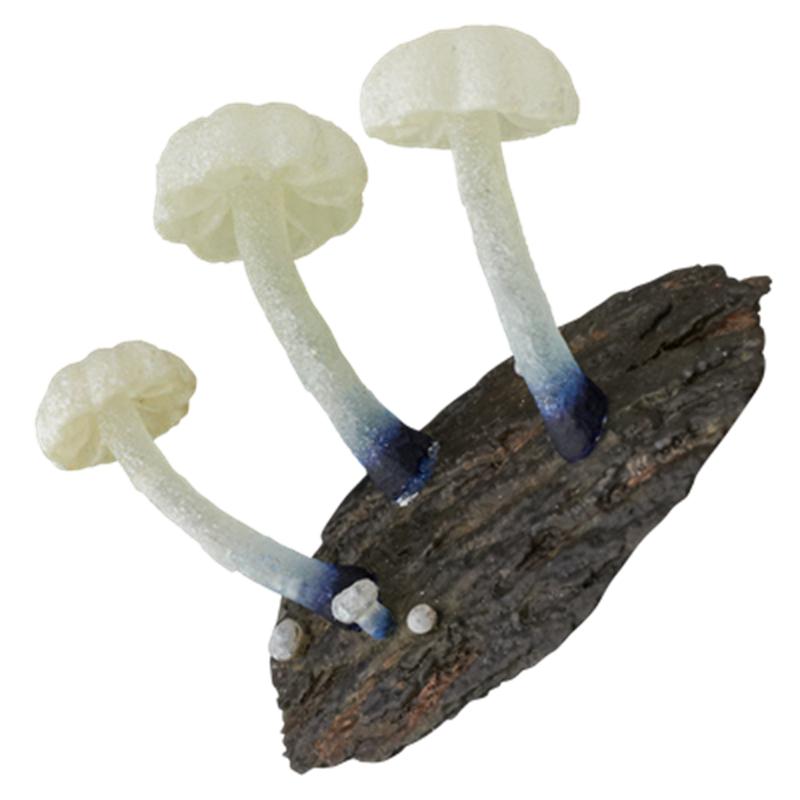 IKIMON Genuine Japanese Glow in the Dark Mushroom Magnet 8 Types Fridge Decor Capsule Toy 3D Collectible Figurine
IKIMON Genuine Japanese Glow in the Dark Mushroom Magnet 8 Types Fridge Decor Capsule Toy 3D Collectible Figurine