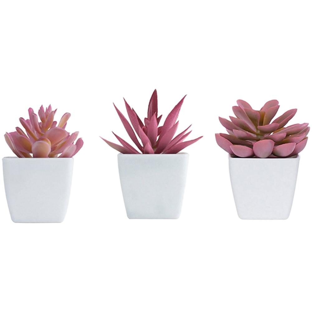 As Shown Faux Succulent Rose Potted Plants Set Lifelike Textures Manual Dyeing Technique Clear Blossom Details
As Shown Faux Succulent Rose Potted Plants Set Lifelike Textures Manual Dyeing Technique Clear Blossom Details