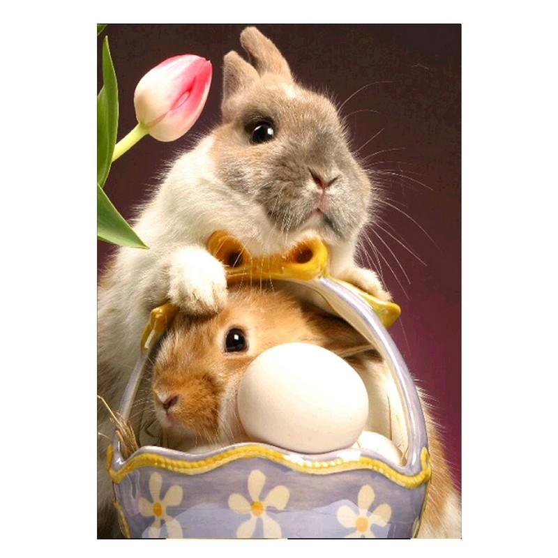 Популярный DIY Craft 5D Алмазная картина Вышивка Крест Ремесло
Популярный DIY Craft 5D Алмазная картина Вышивка Крест Ремесло