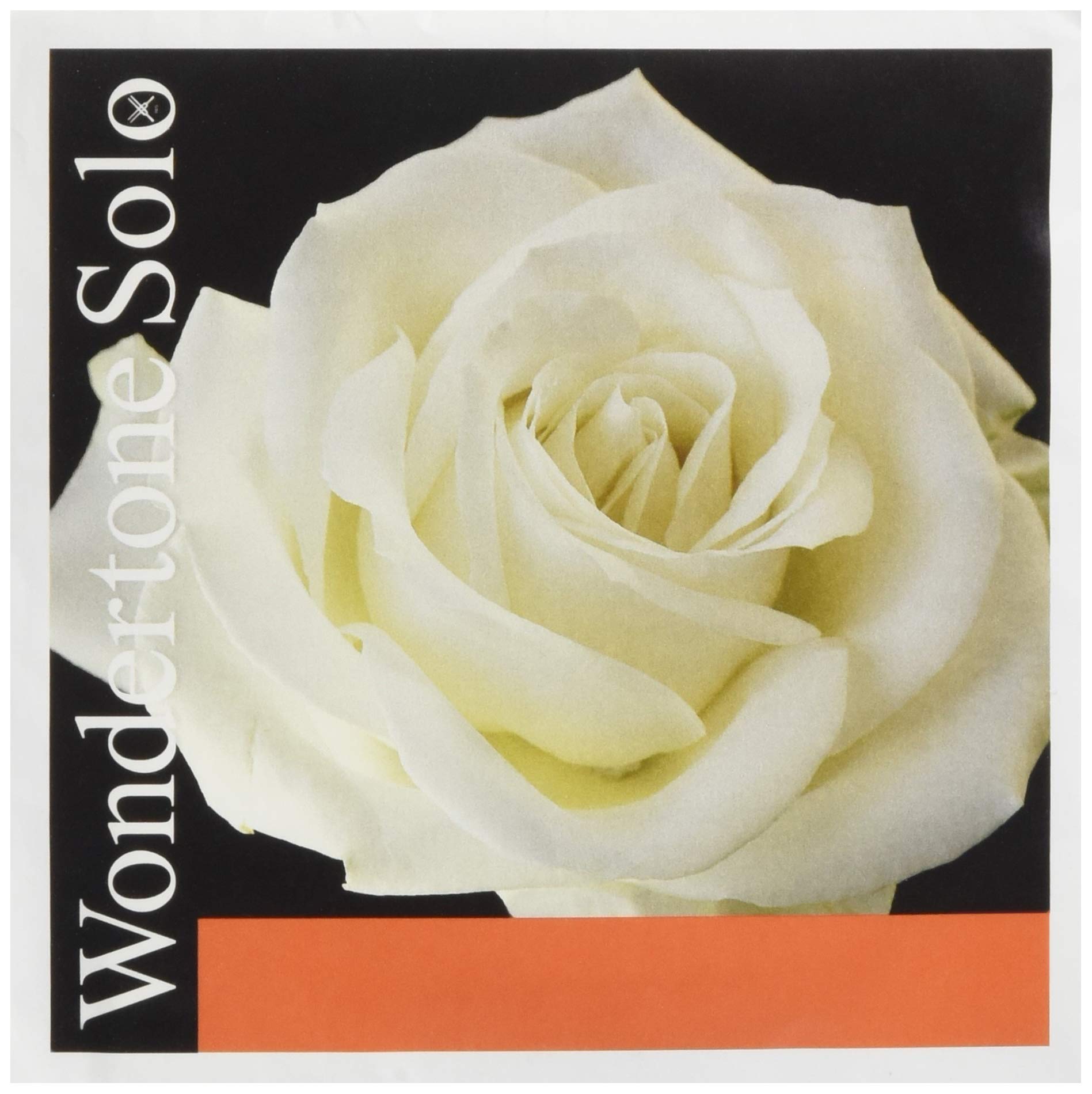 PIRASTRO Wondertone Solo Violin String G String for Winding 4104 4/4 Synthetic/Silver
PIRASTRO Wondertone Solo Violin String G String for Winding 4104 4/4 Synthetic/Silver