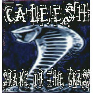 12inch Record CALEESH Snake In The Grass BC0001 B.U.K.A. Entert Germany Rap HipHopRB Used
12inch Record CALEESH Snake In The Grass BC0001 B.U.K.A. Entert Germany Rap HipHopRB Used