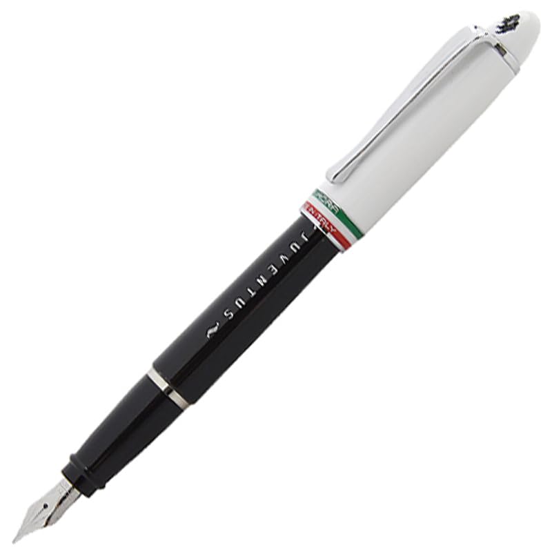 Перьевая ручка AURORA aurora epsilon Juventus satin black white колпачок CT Extra-fine EF B15-JWNE
Перьевая ручка AURORA aurora epsilon Juventus satin black white колпачок CT Extra-fine EF B15-JWNE