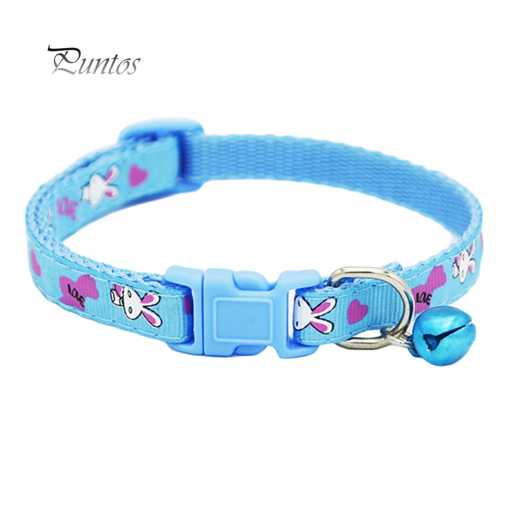 Яркий ошейник для маленькой собачки
Яркий ошейник для маленькой собачки