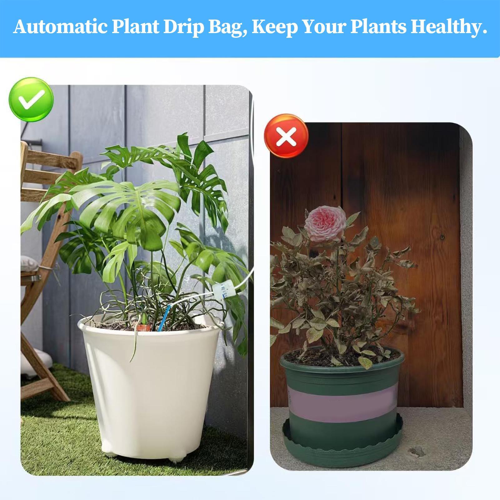 Tree Watering Bag 5.2L Auto Drip Irrigation Pouch Adjustable Automotive For Greenhouse Workplace Trees Flowerbed Balcony Indoors China Mainland
Tree Watering Bag 5.2L Auto Drip Irrigation Pouch Adjustable Automotive For Greenhouse Workplace Trees Flowerbed Balcony Indoors China Mainland